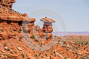 Mexican hat rock monu
