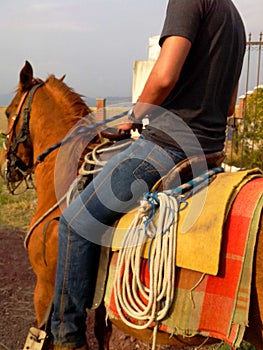 Mexican horseman on the way to work photo