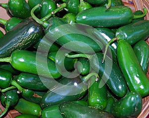 Mexican Jalapeno Chili Peppers photo