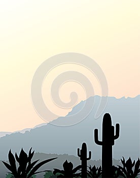 Mexican landscape