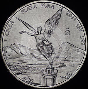 Mexican Libertad Silver Coin (Obverse)