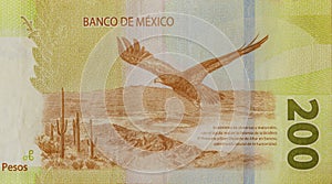 Mexican money bills currency Mexico 200 pesos banknote close up photo