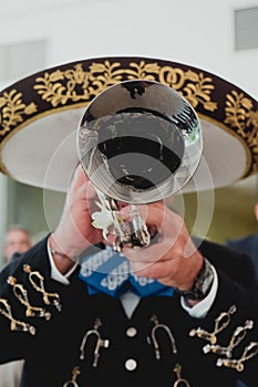 Mexican musician with his trumpet in the foreground, mariachis