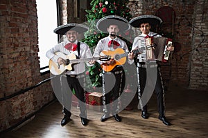 Mexican musician mariachi photo