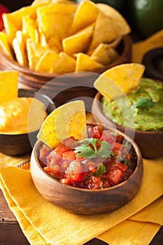 Mexican nachos tortilla chips with guacamole, salsa and cheese d