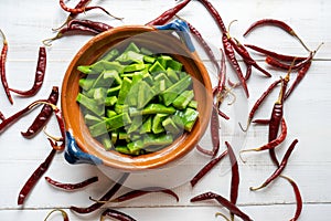 Mexican nopal cactus
