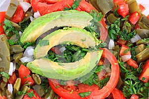 Mexican Nopal Cactus salad