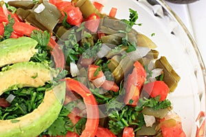 Mexican Nopal Cactus salad