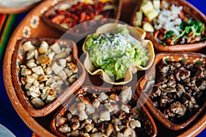 Mexican plate with different meat and guacamole