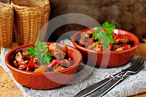 Mexican pork and capsicum stew