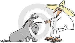 Mexican pulling a stubborn donkey