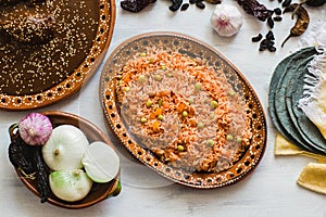 Mexican rice and mole poblano, traditional food in Mexico