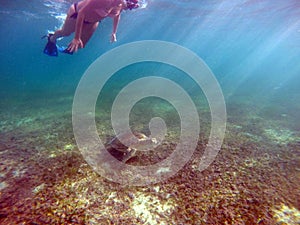 Mexican Sea Turtle underwater swimming with girl 2