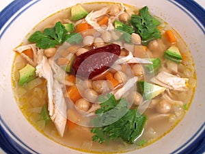 Mexican Soup (Caldo Tlalpeno) photo