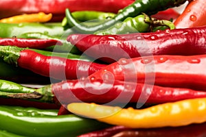 Mexican spicy peppers of long shape. Agriculture and fresh food