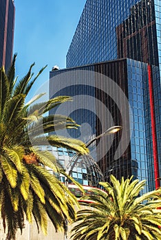 Mexican Stock Exchange In Mexico City