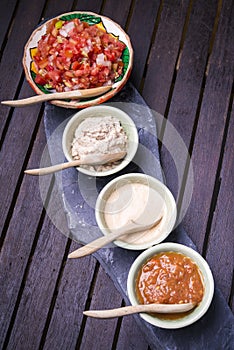 Mexican style dips and sauce salsa