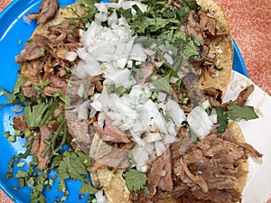 Mexican suadero meat tacos for dinner