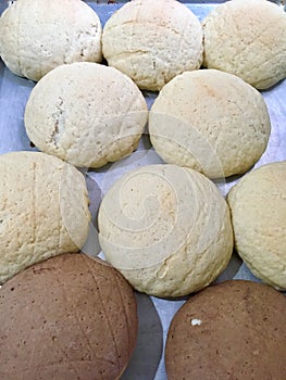 Mexican sweet bread