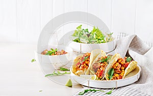 Mexican tacos with chicken meat, corn and tomato sauce. Latin American cuisine. photo