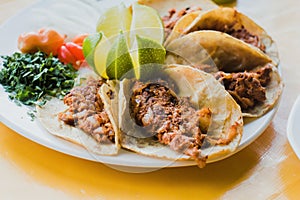 Mexican Tacos de Barbacoa, lamb taco with Cilantro and lemon in Mexico photo