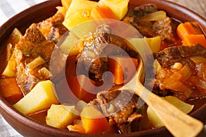 Mexican thick estofado soup with beef close-up. horizontal