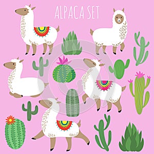 Mexican white alpaca lamas and desert plants vector set