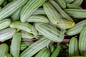 Mexican Zucchini Calabasas sold at local market photo