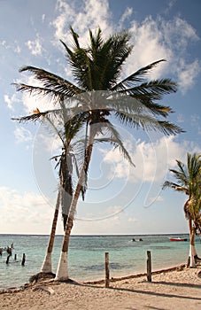 Mexico Beach Coastline