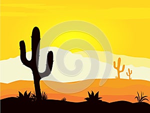 Mexico desert sunset with cactus plants silhouette