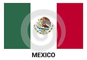 Mexico flag design vector