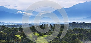 Mexico Jungle Landscape