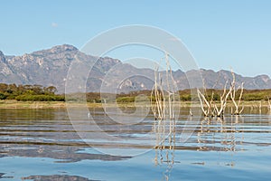 Mexico lake with Mesquite Trees