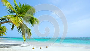 Mexico Paradise sea beach landscape. Beautiful solar sea background. Loop video