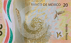 Mexico 20 pesos banknote close up Mexican money bills currency photo