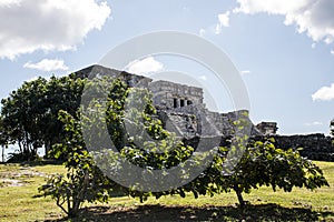 Mexico yucatan Tulum maya ruins 3