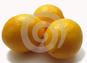 Meyer lemons photo