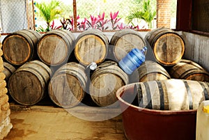 Mezcal Barrels