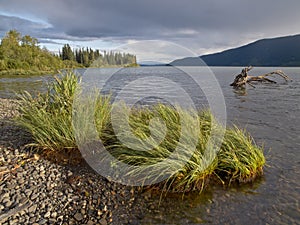 Meziadin Lake