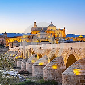 Mezquita Cathedral and Roman Bridge in Cordoba, Spain photo