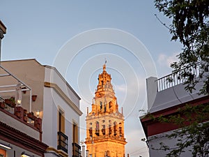 The Mezquita de Cordoba or the Campanario Tower in Cordoba, Spain photo