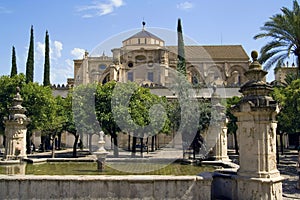 Mezquita Garden photo