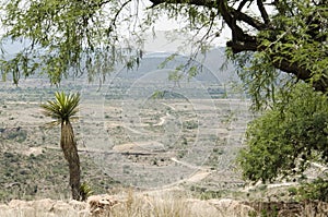 Mezquital Valley, view of a sunny Mexican semi-desert landscape