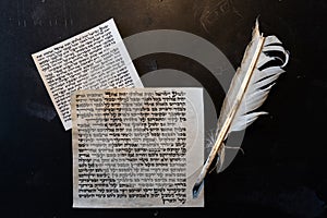 Mezuzah parchments made from animal skin with the full text of the Shema Yisrael Jewish prayer in Hebrew and the feather quill