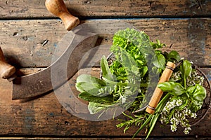Mezzaluna knife with basket of fresh herbs photo