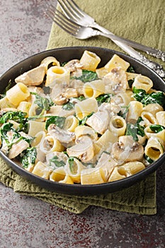 Mezze maniche pasta with chicken, mushrooms and spinach in creamy cheese sauce close-up in a plate. Vertical