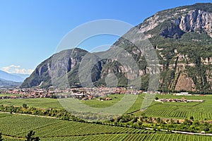 Mezzolombardo and Adige valley photo