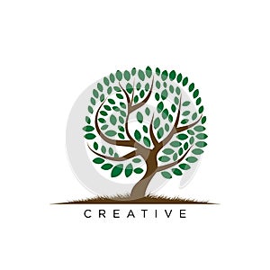 Tree life logo design vector icon unique