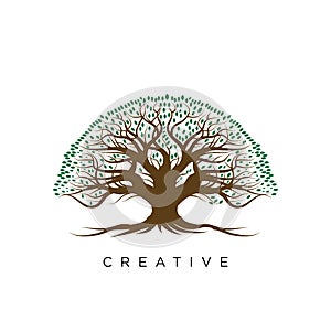 Tree life logo design vector icon unique