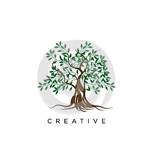 Tree life logo design vector icon unique
